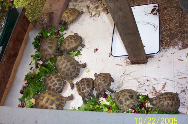 Breakfast time