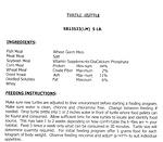 Turtle Brittle 001