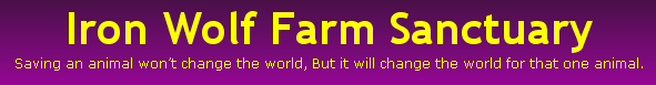 Iron Wolf Farm Sanctuary